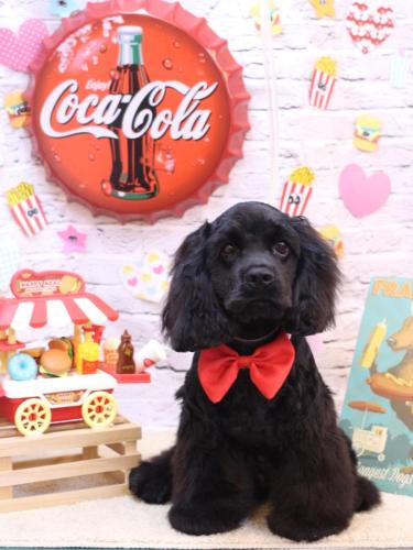 20230916そらくん